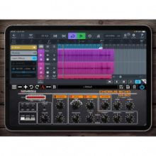 Nembrini Audio NA 501 Chorus Echo 1.0 – Hiệu ứng bè và vang