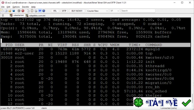 absolutetelnet image