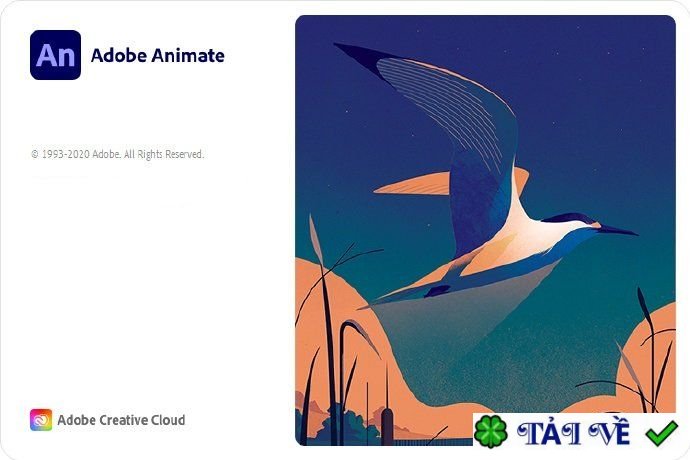 adobe-animate image