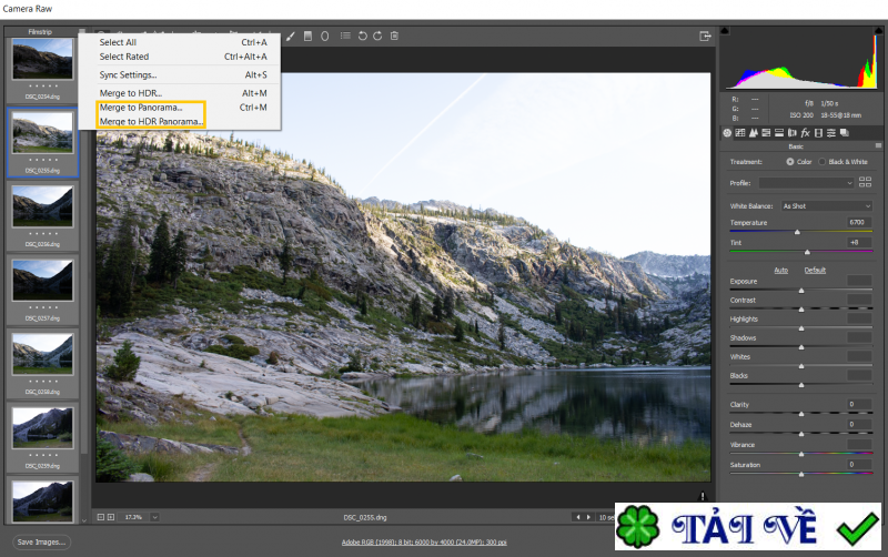 adobe-camera-raw image