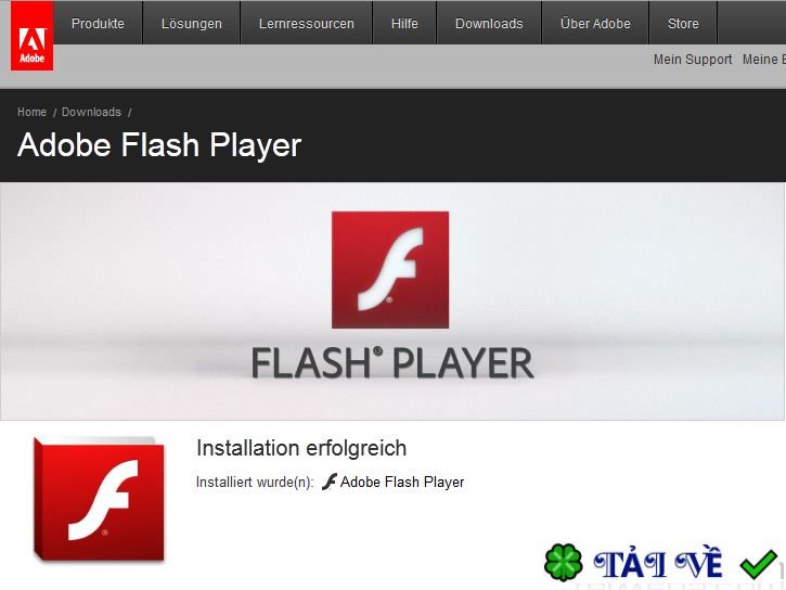 adobe-flash-player-1 image