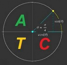 Advanced Trigonometry Calculator – Công cụ giải lượng giác nâng cao