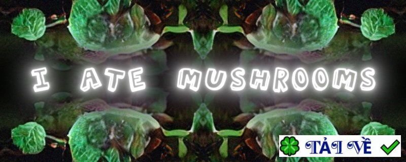 aescripts-i-ate-mushrooms image