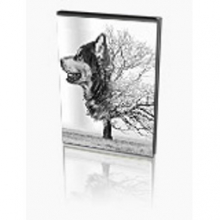 AlphaPlugins Laplacian Blend 1.0: Tăng chi tiết ảnh Laplacian