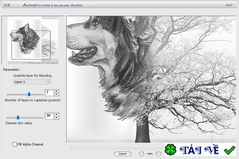 alphaplugins-laplacian-blend image
