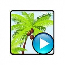 Alternate Pic View 3: Quản lý và xem hình ảnh chuyên nghiệp