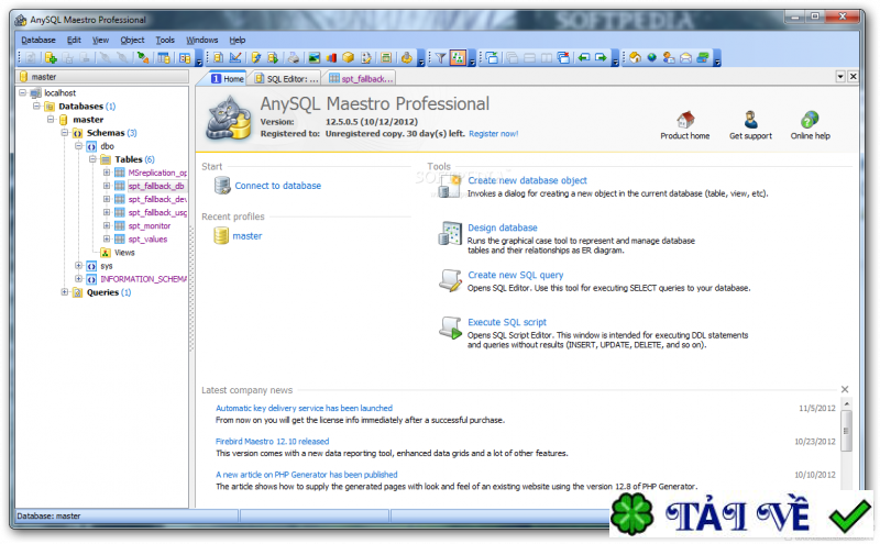anysql-maestro-1 image