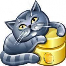 The search results indicate that AnySQL Maestro is a multi-purpose database management and develo…