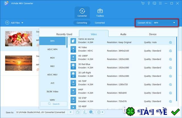 avaide-mkv-converter image