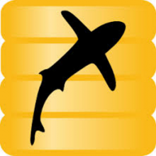 Benthic ImpExpPro 1.3: Giải pháp nhập xuất dữ liệu Oracle