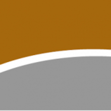 BIMware MASTER EC5 Timber Connections 15 Thiết kế kết cấu gỗ BIM