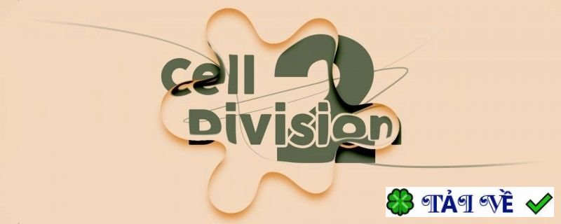 cell-division-for-adobe-after-effects image