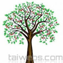 CherryTree 1 Tổ chức ghi chú