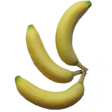 CodexBanana 2.0 Quản lý ý tưởng sáng tạo