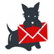CoolUtils Mail Terrier 1.1 Công cụ tìm kiếm email chuyên sâu