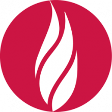 Cresset Flare 11: Nền tảng mô hình hóa thuốc