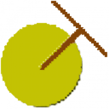 Digimizer 6: Phân tích ảnh, đo đạc chi tiết