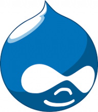 Drupal 11 Giải pháp CMS cho mọi website