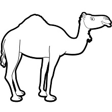 ExifTool 13 Công cụ quản lý metadata