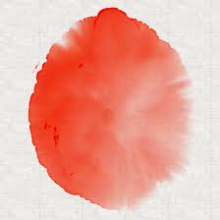 Expresii: Thể hiện ý tưởng nghệ thuật độc đáo