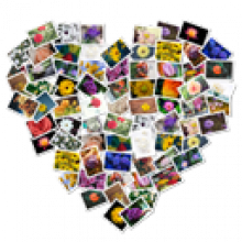 FigrCollage 3.3 Biên tập ảnh ghép chuyên nghiệp