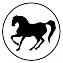 FreeBASIC1 Trình biên dịch đa nền tảng