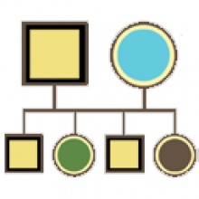 GenoPro 2020 Khám phá lịch sử gia tộc