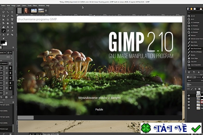 gimp-1 GIMP 3: Chỉnh sửa ảnh chuyên nghiệp, sáng tạo đồ họa
