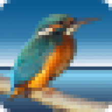 Highlight 4.8 Nhấn mạnh điểm chính