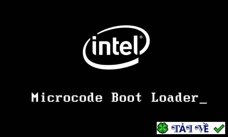 intel-microcode-boot-loader-1 image