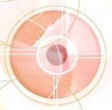 Jar2Exe 2.7: Đóng gói ứng dụng JAR thành EXE