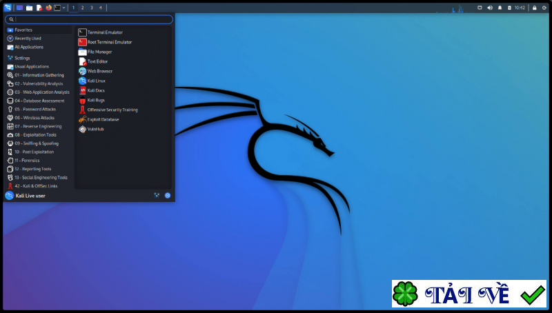 kali-linux image