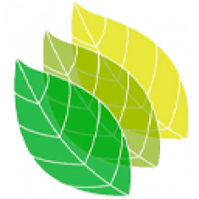 Lands Design 5 cho Rhino: Thiết kế cảnh quan 3D