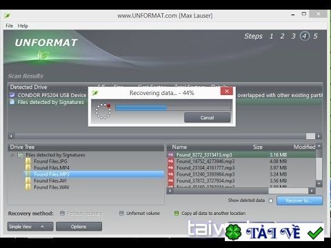 lsoft-technologies-unformat-professional-1 image