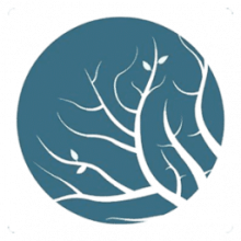 Lumion Pro 2025: Trình diễn kiến trúc 3D ấn tượng