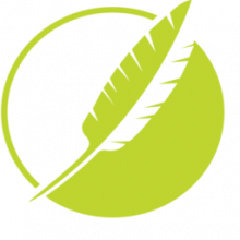 MadCap Flare 2025 R2: Giải pháp toàn diện cho tài liệu kỹ thuật