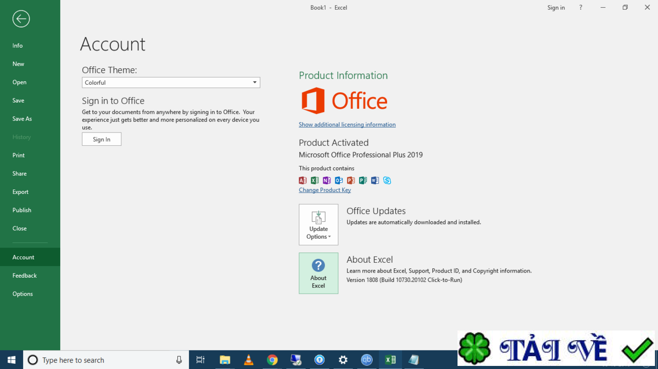 microsoft-office-professional-plus-2019 image