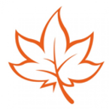 MindMaple Classic 1.80 Công cụ vẽ sơ đồ tư duy chuyên nghiệp