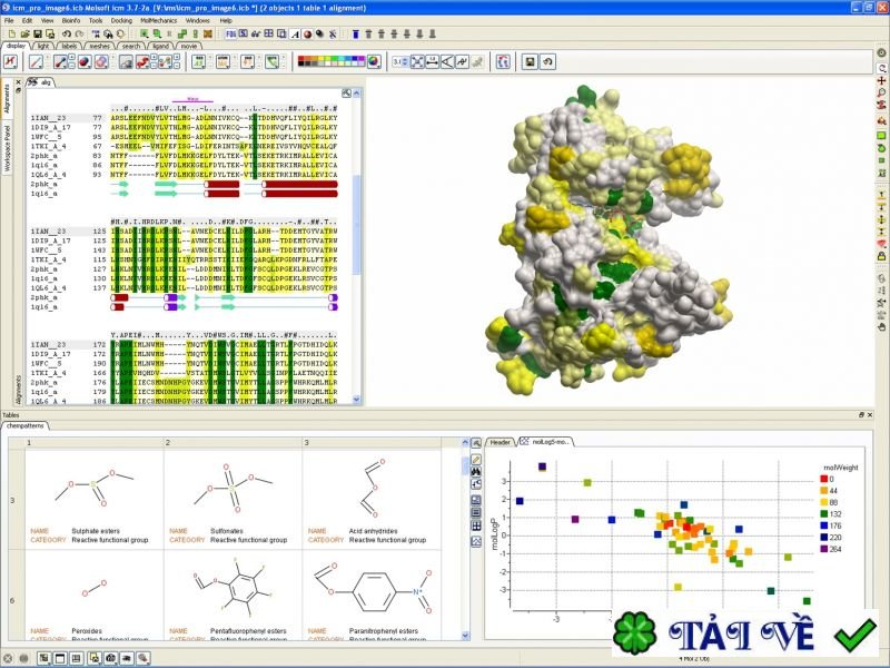 molsoft-icm-pro image
