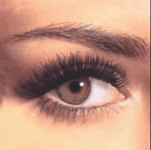 mrViewer v6 Trình xem đa phương tiện