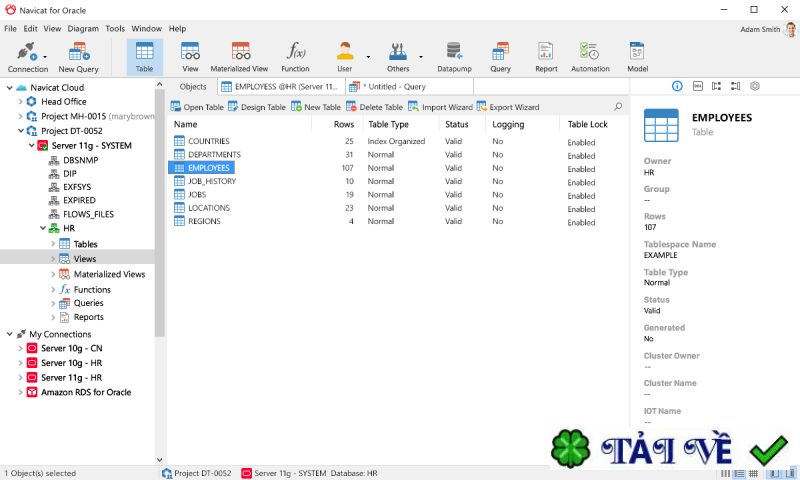 navicat-for-oracle-1 image