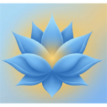 Nemi Padma 1.0 Tối ưu hóa hiệu suất máy tính