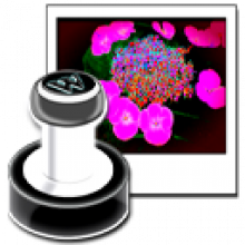 Neonway WhatAMark 1.4 Tạo dấu ấn riêng cho ảnh