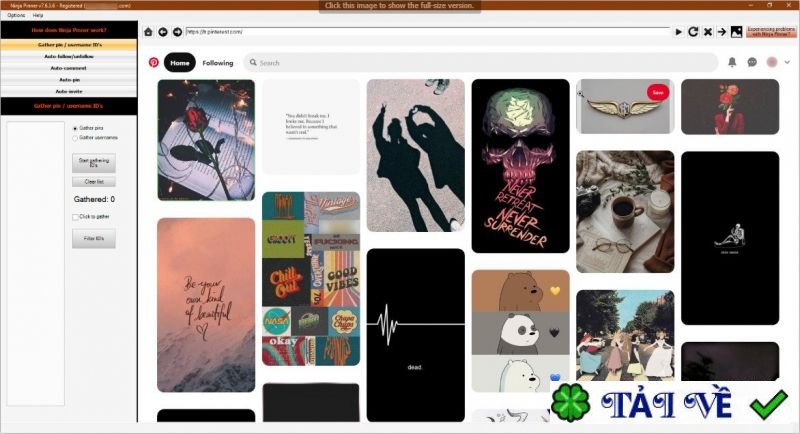 ninja-pinner-1 image