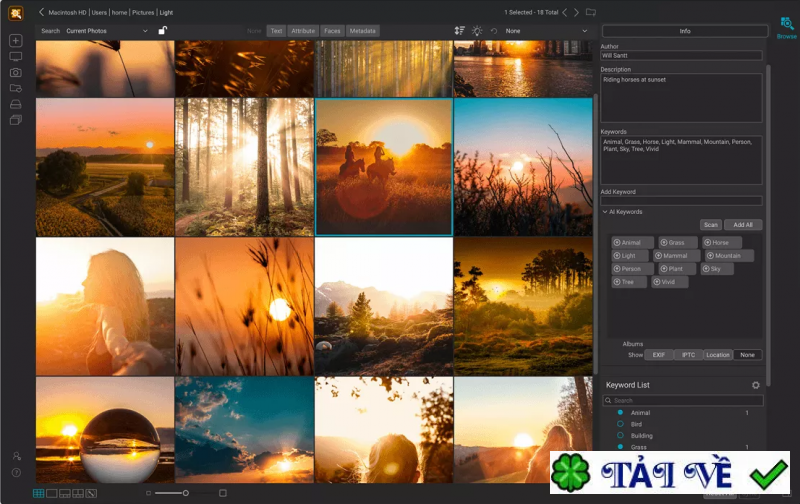 on1-photo-keyword-ai image