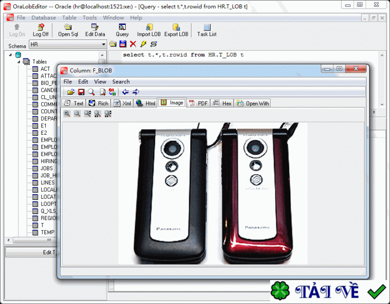 oralobeditor-1 image