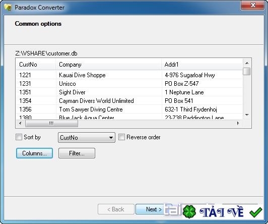 paradox-converter image