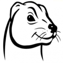 PCFerret Pro 4.0: Công cụ theo dõi máy tính toàn diện