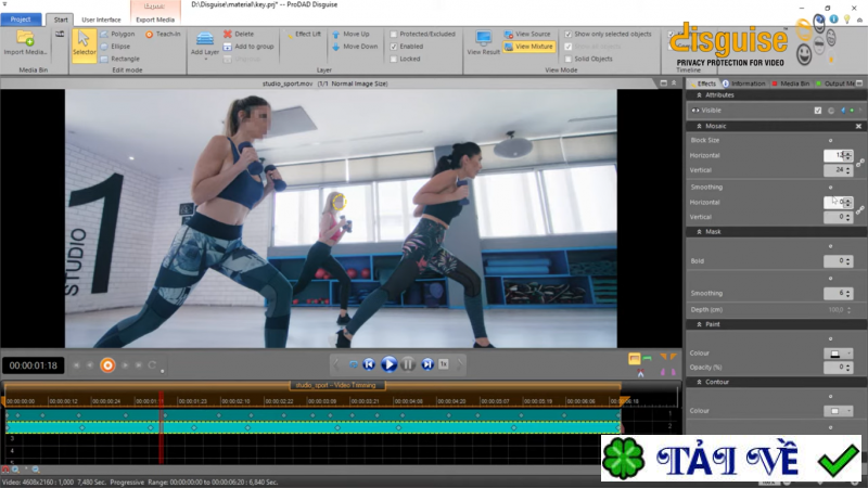 prodad-disguise image