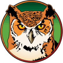 RegexBuddy 4: Tạo và sử dụng biểu thức chính quy